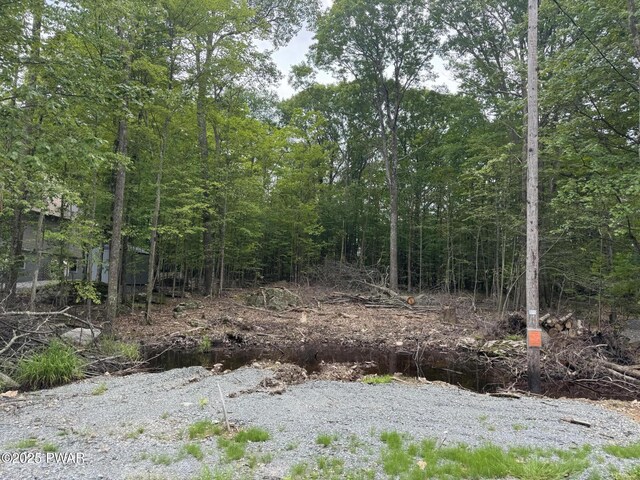 19 Cherokee Ct Lot 4168, Lake Ariel, PA 18436 - view of wooded area