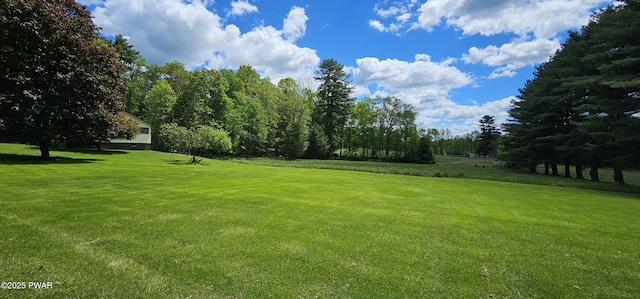 24 Buff Rd, Cochecton, Ny, NY 12726 - view of grassy yard