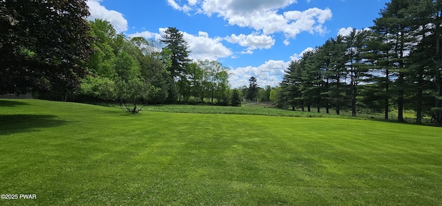 24 Buff Rd, Cochecton, Ny, NY 12726 - view of green lawn