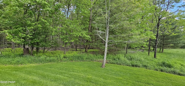 24 Buff Rd, Cochecton, Ny, NY 12726 - view of grassy yard featuring a forest view