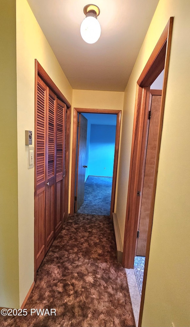 24 Buff Rd, Cochecton, Ny, NY 12726 - corridor with carpet flooring and baseboards