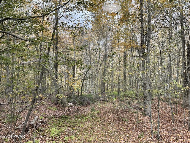 52 Chipmunk Ln, Madison Township, PA 18444 - photo 51