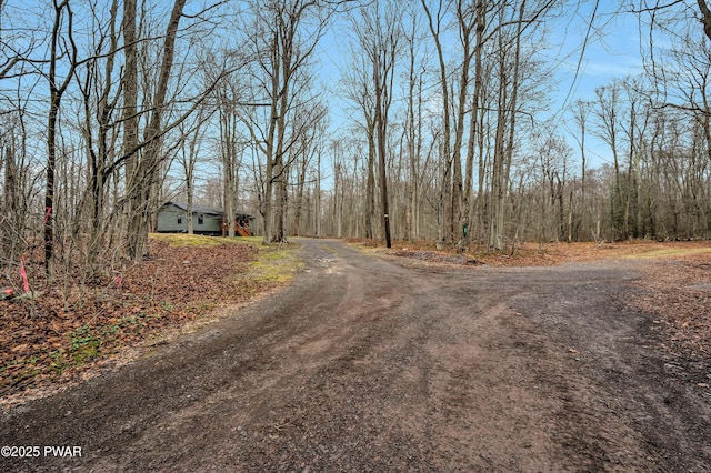 52 Chipmunk Ln, Madison Township, PA 18444 - photo 54
