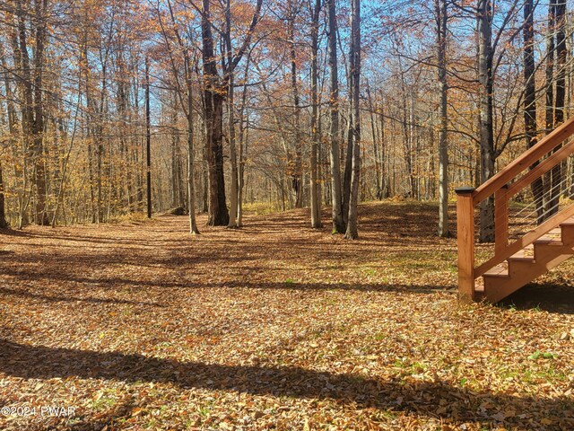 52 Chipmunk Ln, Madison Township, PA 18444 - photo 53