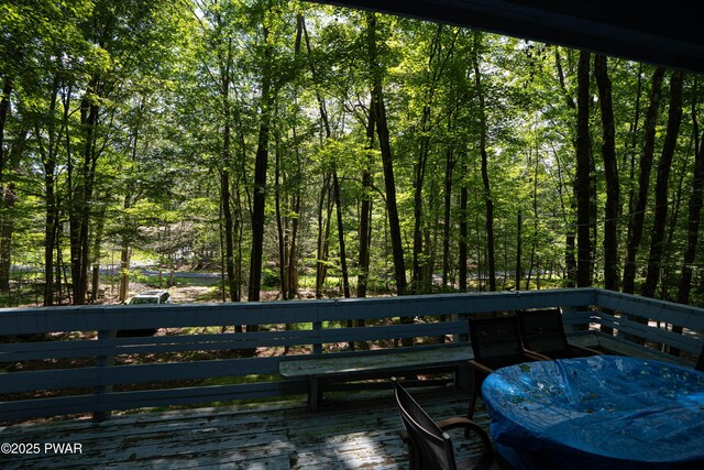 107 W Creek View Dr, Gouldsboro, PA 18424 - photo 44