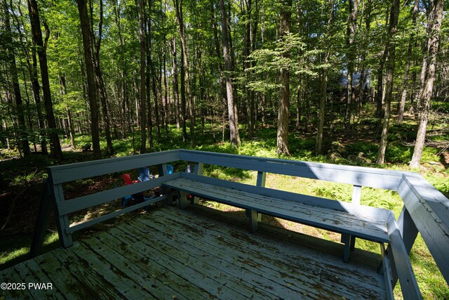 107 W Creek View Dr, Gouldsboro, PA 18424 - photo 48