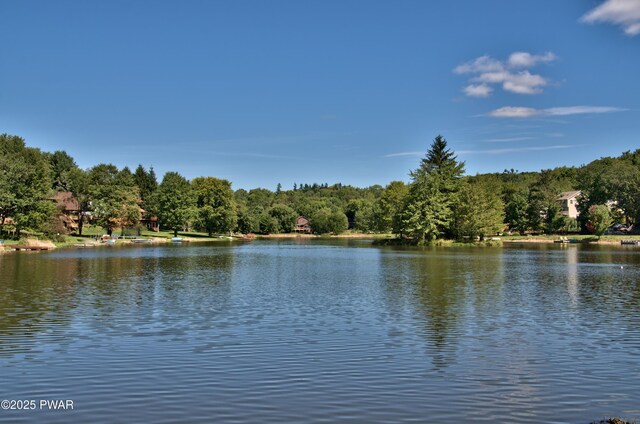 8 Grandview Ct, Lake Ariel, PA 18436 - photo 15