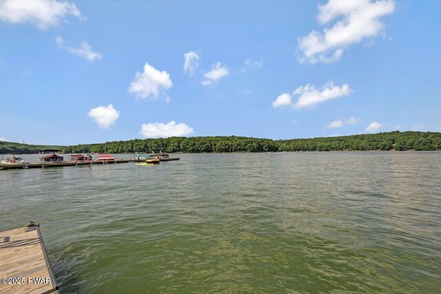 9 Overlook Dr, Lakeville, PA 18438 - photo 111