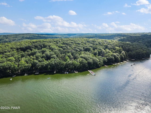 9 Overlook Dr, Lakeville, PA 18438 - photo 124