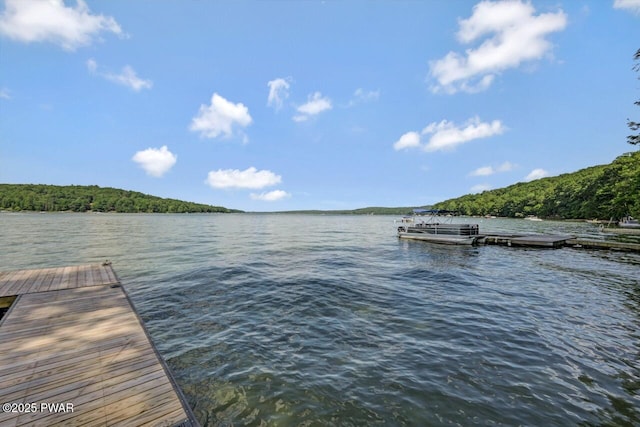 9 Overlook Dr, Lakeville, PA 18438 - photo 112