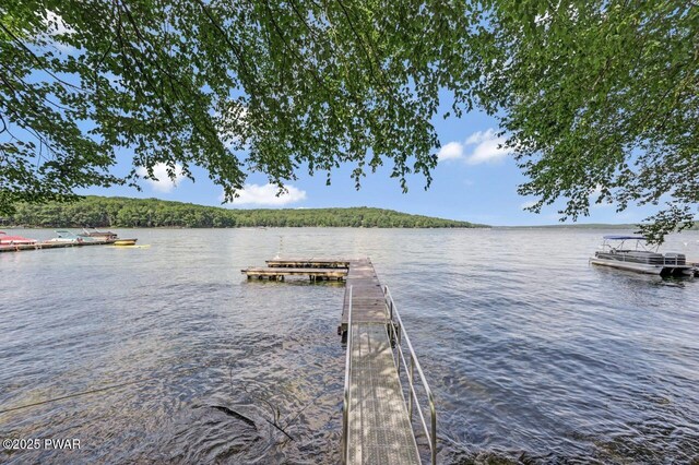 9 Overlook Dr, Lakeville, PA 18438 - photo 4