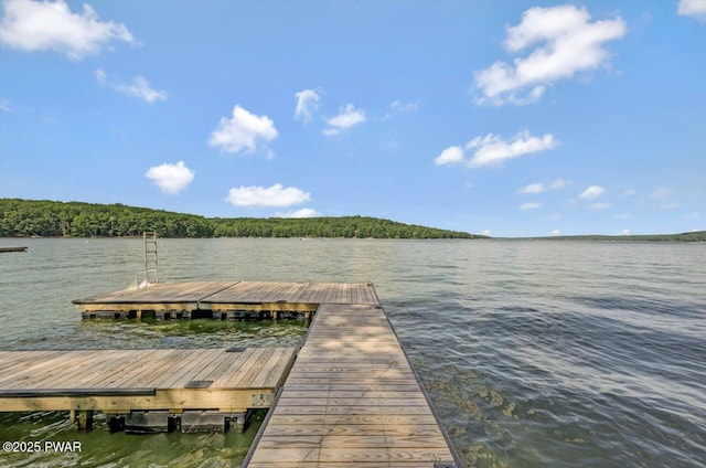9 Overlook Dr, Lakeville, PA 18438 - photo 110