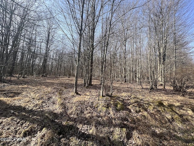 LOT394 Snowshoe Cir, Lake Ariel PA, 18436 land for sale