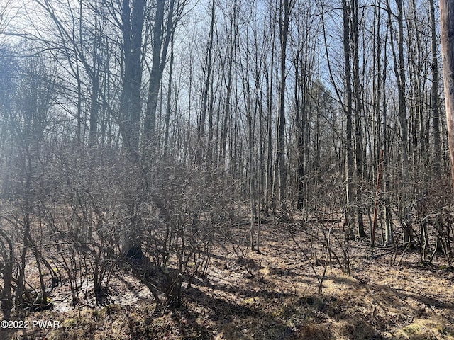 Listing photo 2 for LOT394 Snowshoe Cir, Lake Ariel PA 18436