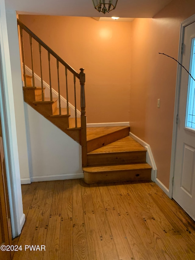 stairway with hardwood / wood-style floors