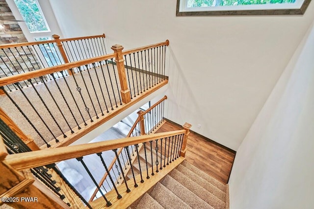 staircase featuring plenty of natural light and hardwood / wood-style flooring