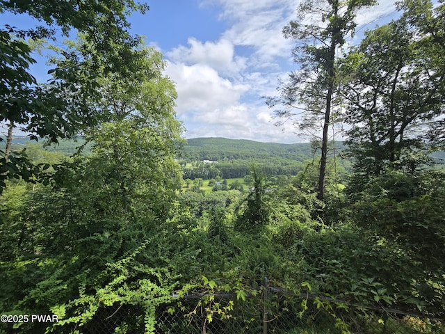 1247 Delaware Dr, Matamoras, PA 18336 - photo 8