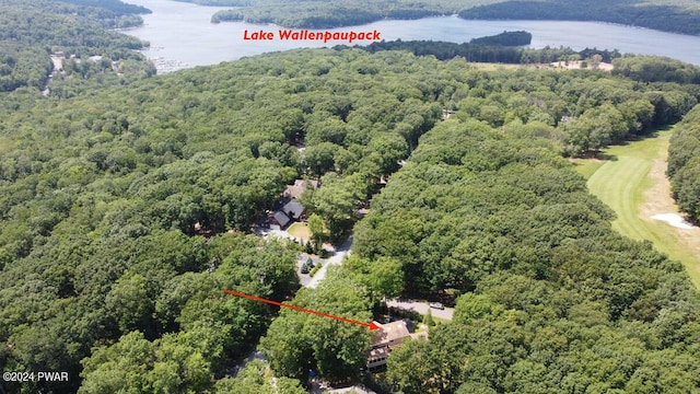 bird's eye view featuring a view of trees and a water view