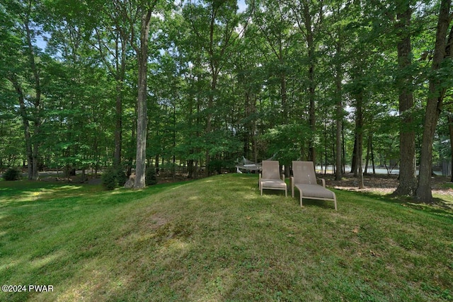 162 Yacht Club Dr, Greentown, PA 18426 - photo 35