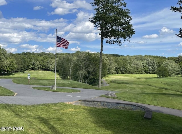 view of property's community featuring a forest view and a yard