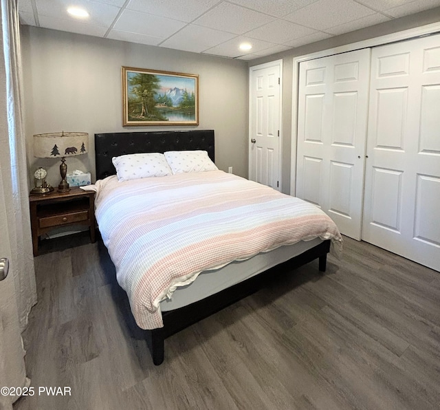 bedroom with a closet, a drop ceiling, and wood finished floors