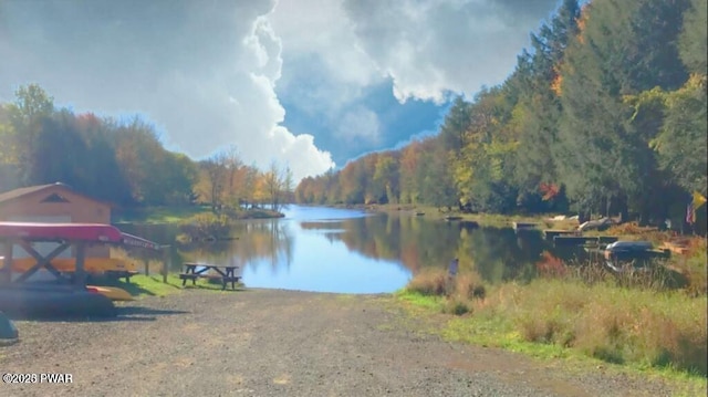 water view featuring a view of trees