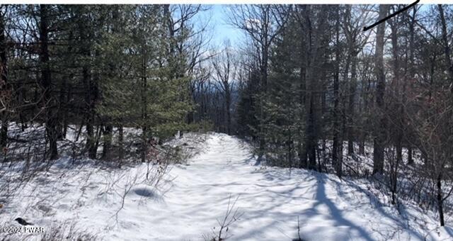 Listing photo 2 for LOT54 Skyline Dr, Milford PA 18337