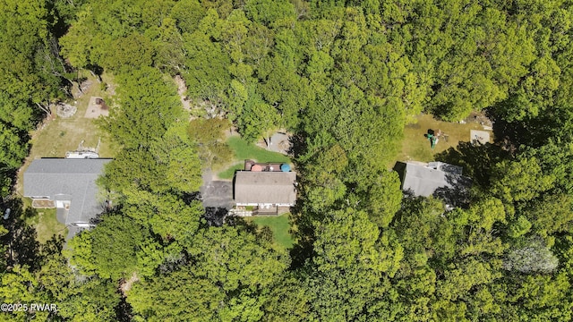 226 Aspen Dr, Milford, PA 18337 - bird's eye view of a heavily wooded area