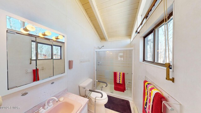 802 Rimrock Ct, Lords Valley, PA 18428 - full bathroom featuring vanity, toilet, lofted ceiling with beams, a shower with door, and wood ceiling