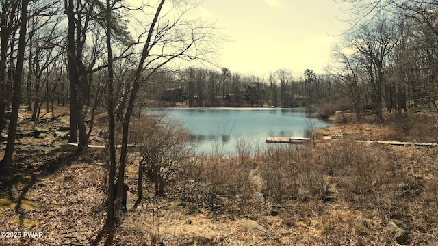 802 Rimrock Ct, Lords Valley, PA 18428 - view of water feature featuring a wooded view