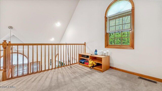 17 Lake Dr, Hawley, PA 18428 - photo 31