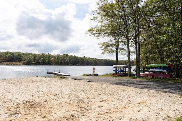 exterior space with a dock