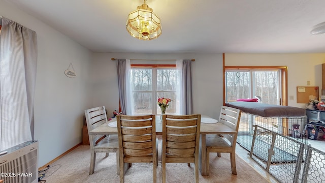 carpeted dining area with radiator and a wealth of natural light