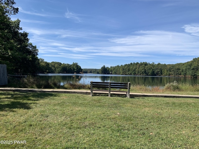 106 Keystone Ct, Dingmans Ferry, PA 18328 - view of grassy yard with a water view and a view of trees