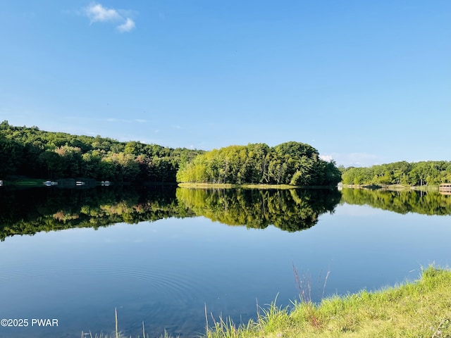 106 Keystone Ct, Dingmans Ferry, PA 18328 - water view with a forest