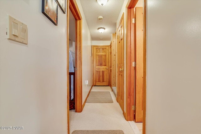 140 Poplar St, Lakeville, PA 18438 - photo 54
