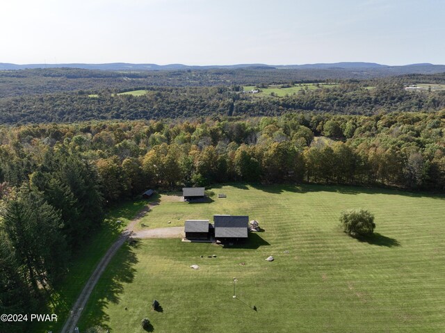 1701 Great Bend Tpke, Pleasant Mount, PA 18453 - photo 5
