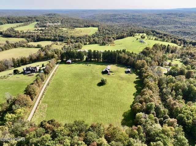 1701 Great Bend Tpke, Pleasant Mount, PA 18453 - photo 18