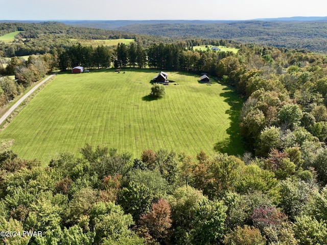 1701 Great Bend Tpke, Pleasant Mount, PA 18453 - photo 7