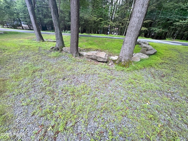 1006 Redlawn Ln, Lake Ariel, PA 18436 - view of green lawn featuring a forest view