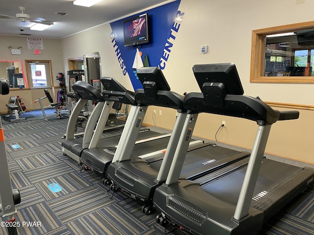 1006 Redlawn Ln, Lake Ariel, PA 18436 - exercise room with a ceiling fan and carpet