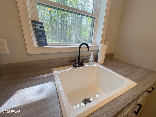 1006 Redlawn Ln, Lake Ariel, PA 18436 - detailed view of a sink