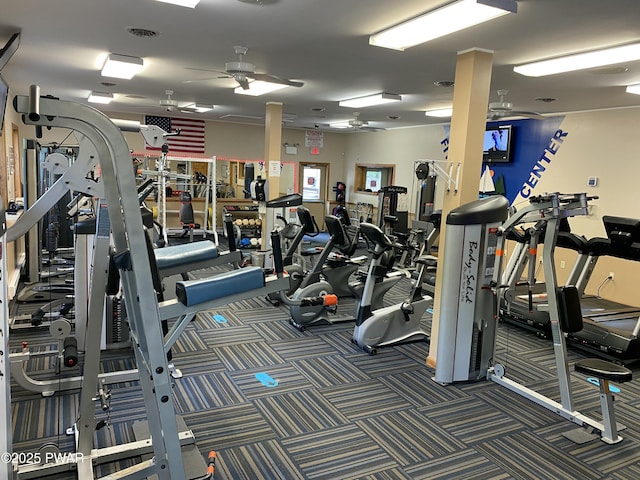 1006 Redlawn Ln, Lake Ariel, PA 18436 - gym with a ceiling fan and carpet floors