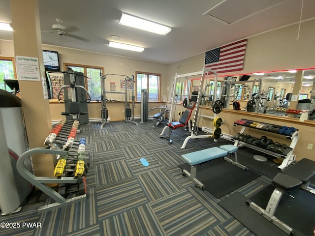 1006 Redlawn Ln, Lake Ariel, PA 18436 - exercise room featuring a ceiling fan, carpet, and plenty of natural light