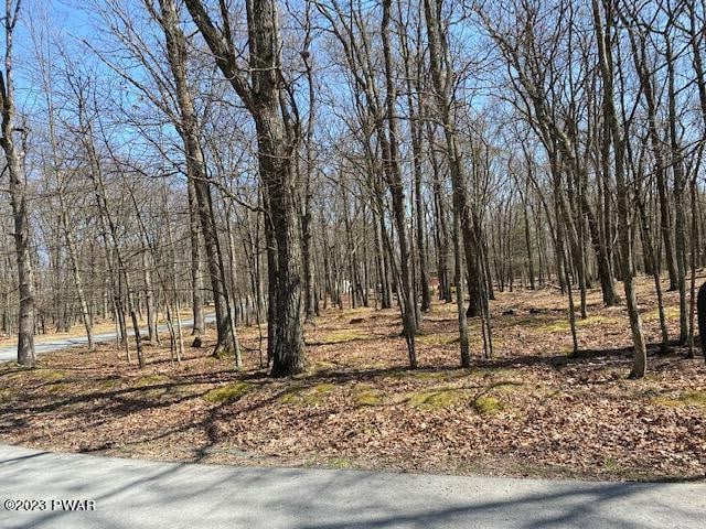 LOT90 Deer Trail Dr, Hawley PA, 18428 land for sale