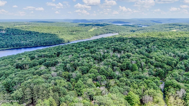53 Windsor Rd, Hawley, PA 18428 - drone / aerial view of a large body of water