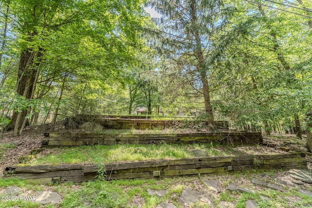 53 Windsor Rd, Hawley, PA 18428 - view of yard