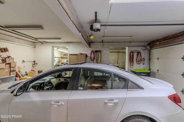 53 Windsor Rd, Hawley, PA 18428 - garage with a garage door opener and concrete block wall
