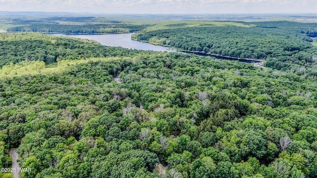 53 Windsor Rd, Hawley, PA 18428 - bird's eye view of a heavily wooded area and a nearby body of water