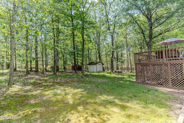 53 Windsor Rd, Hawley, PA 18428 - view of yard with a shed and a deck
